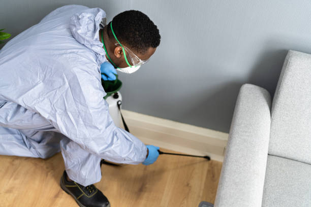 Best Residential Pest Control  in Watford City, ND